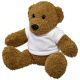 Orso di peluche con T-shirt