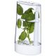 Conserva erbe aromatiche Versil